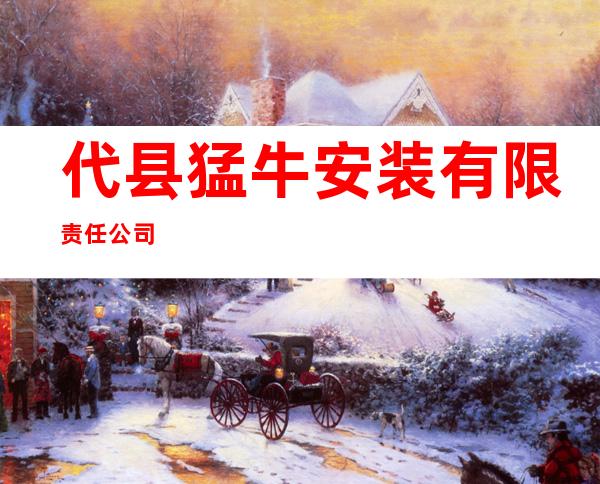 代县猛牛安装有限责任公司
